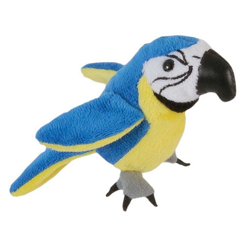 ΔΑΧΤΥΛΟΚΟΥΚΛΑ ΠΑΠΑΓΑΛΟΣ